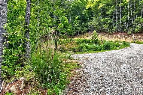 259 East Lester Lane Hendersonville NC 28739