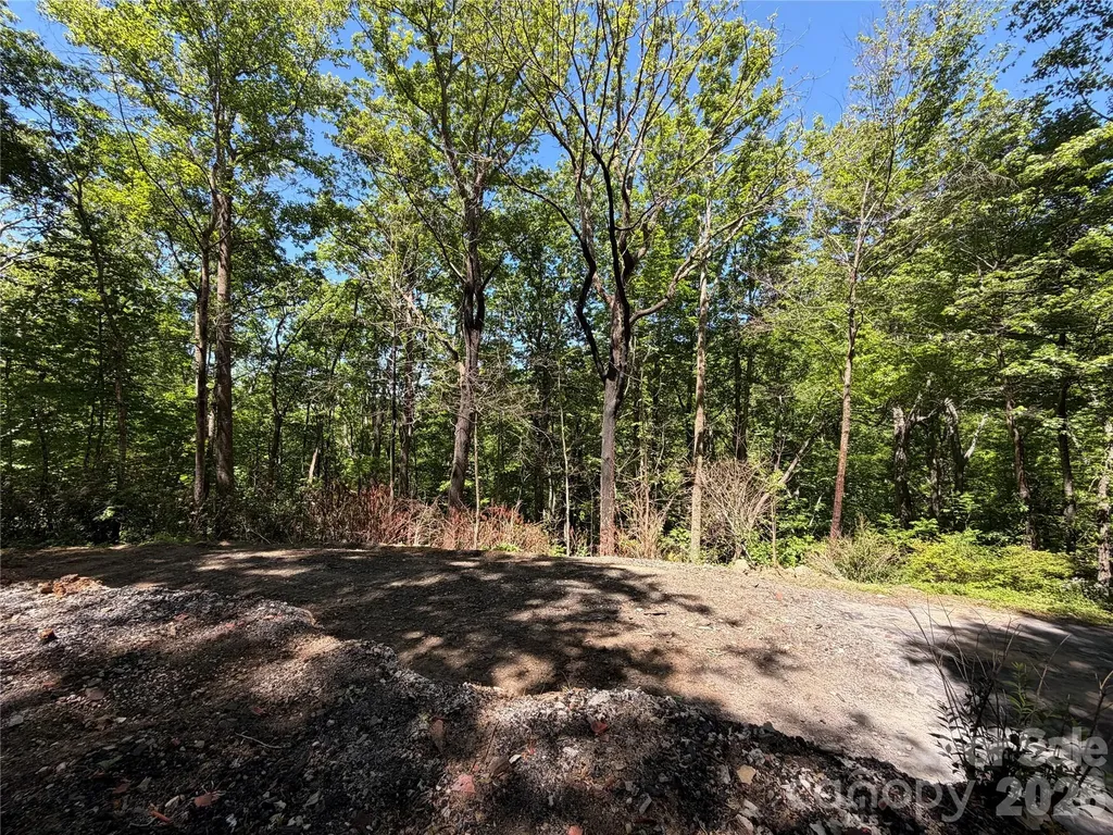 25 Buck Ridge Road Fairview NC 28730