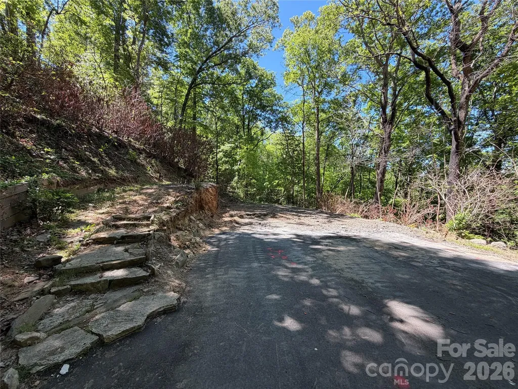 25 Buck Ridge Road Fairview NC 28730