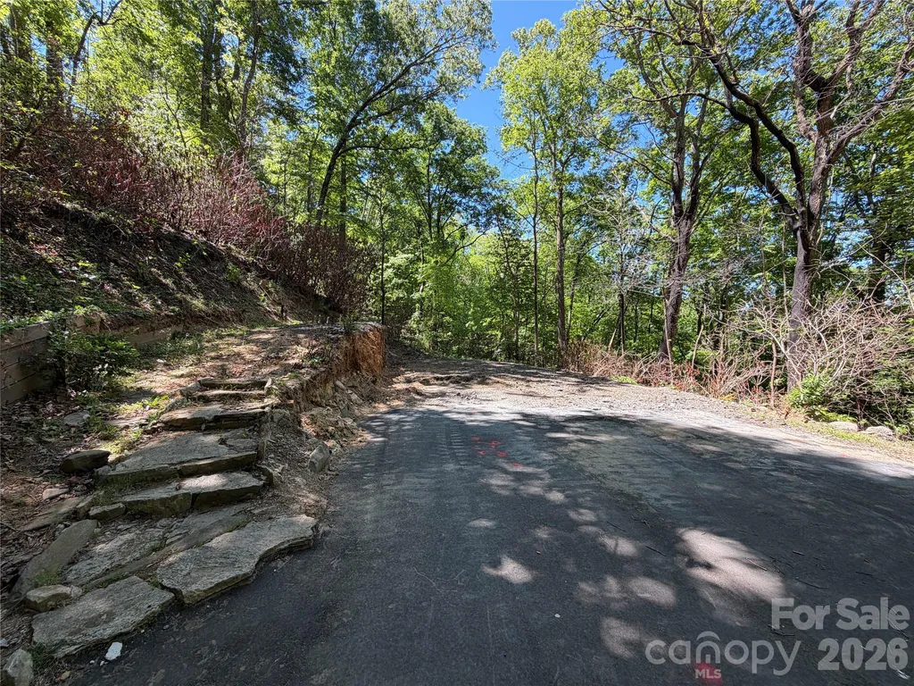 25 Buck Ridge Road Fairview NC 28730
