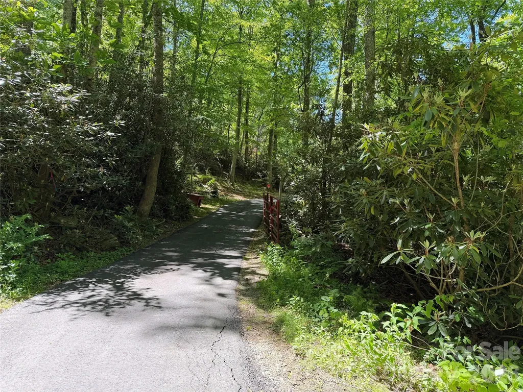 25 Buck Ridge Road Fairview NC 28730