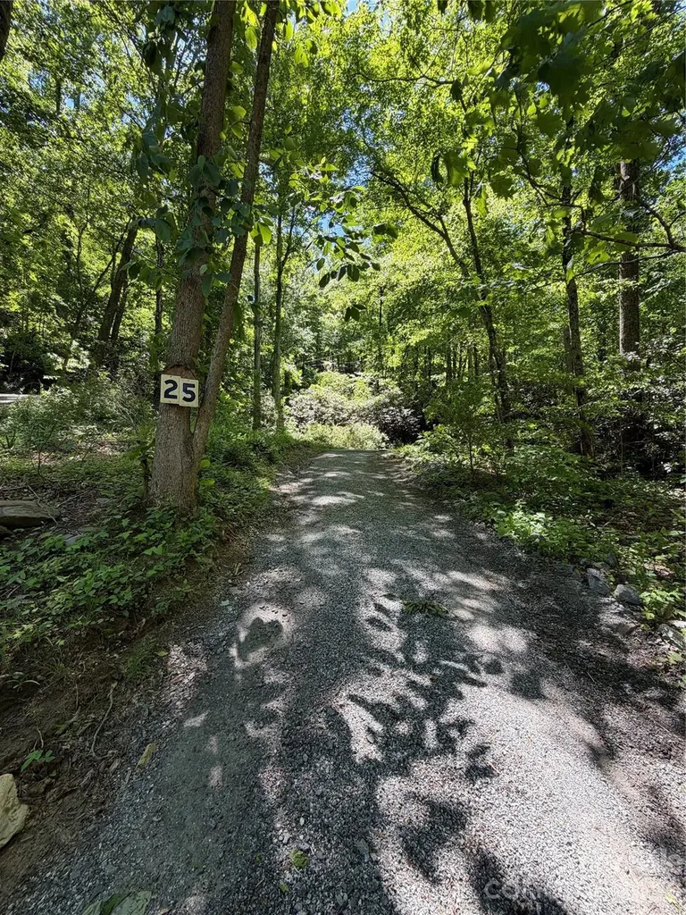 25 Buck Ridge Road Fairview NC 28730