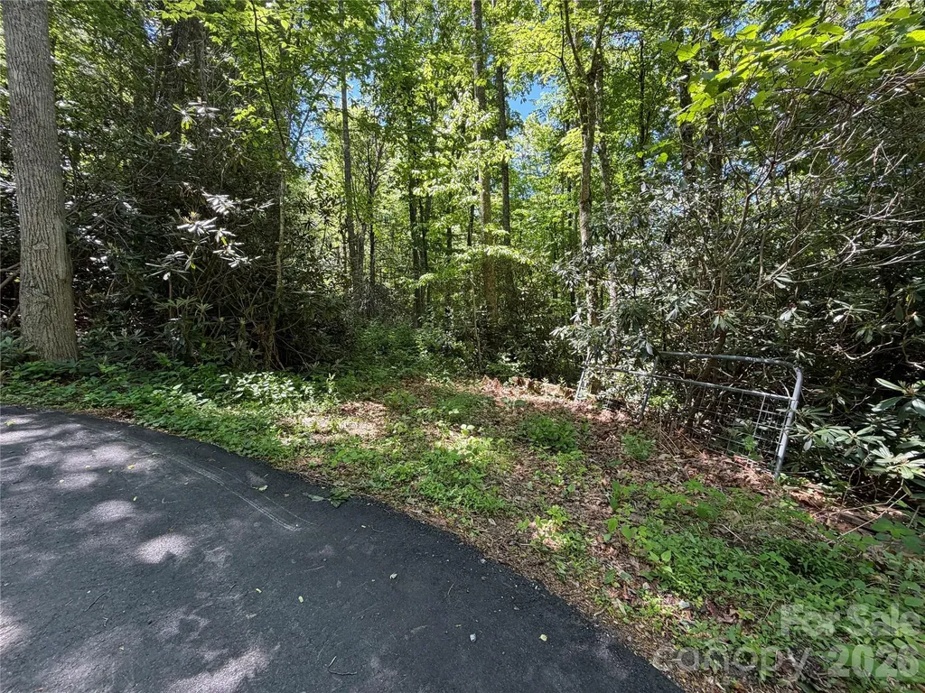 25 Buck Ridge Road Fairview NC 28730