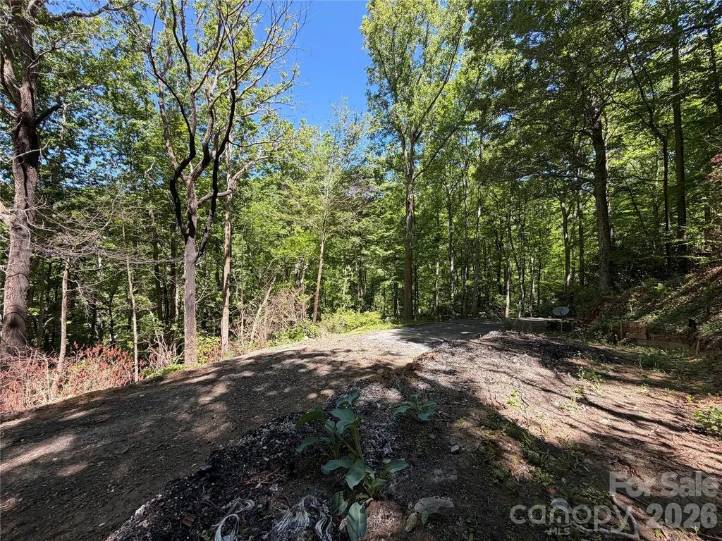 25 Buck Ridge Road Fairview NC 28730