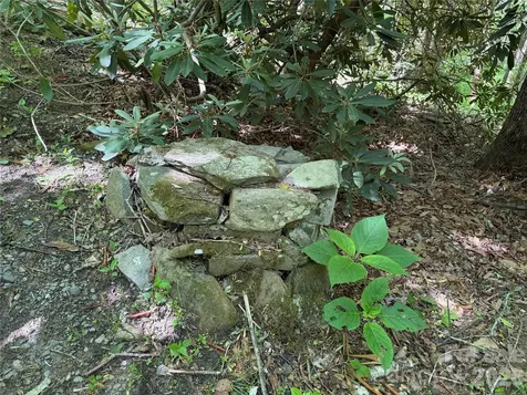 25 Buck Ridge Road Fairview NC 28730