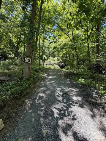 25 Buck Ridge Road Fairview NC 28730