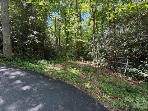 25 Buck Ridge Road Fairview NC 28730