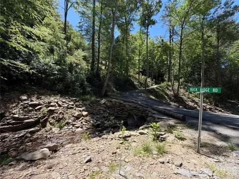 25 Buck Ridge Road Fairview NC 28730