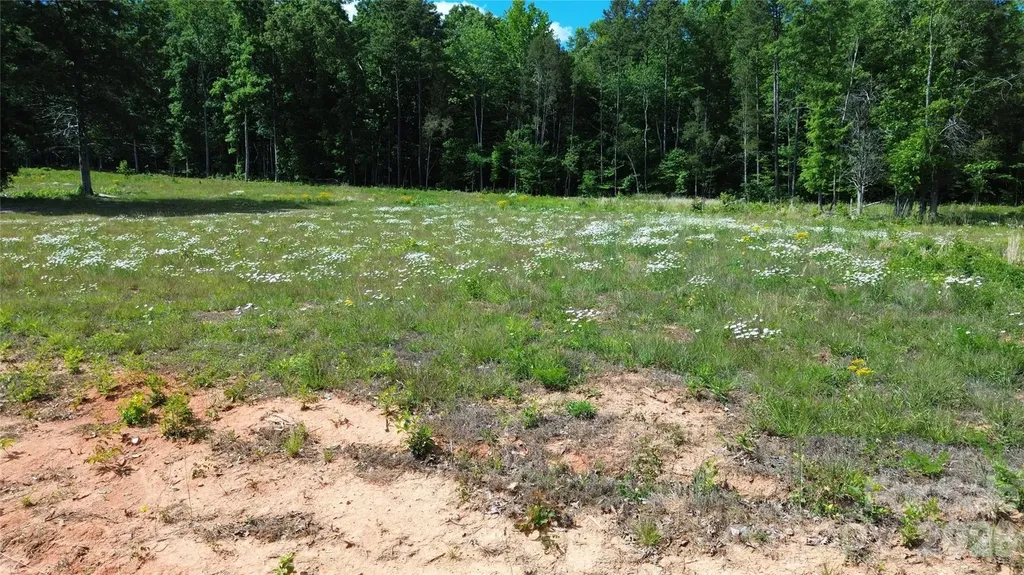 246 Elderberry Lane Lexington NC 27292