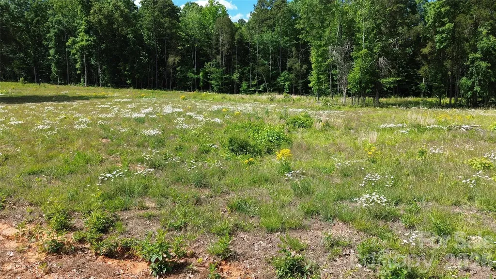 246 Elderberry Lane Lexington NC 27292