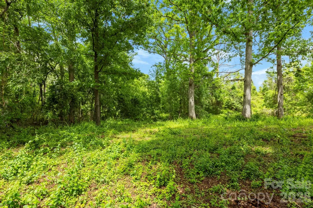 99999 Wild Goose Way Asheville NC 28804