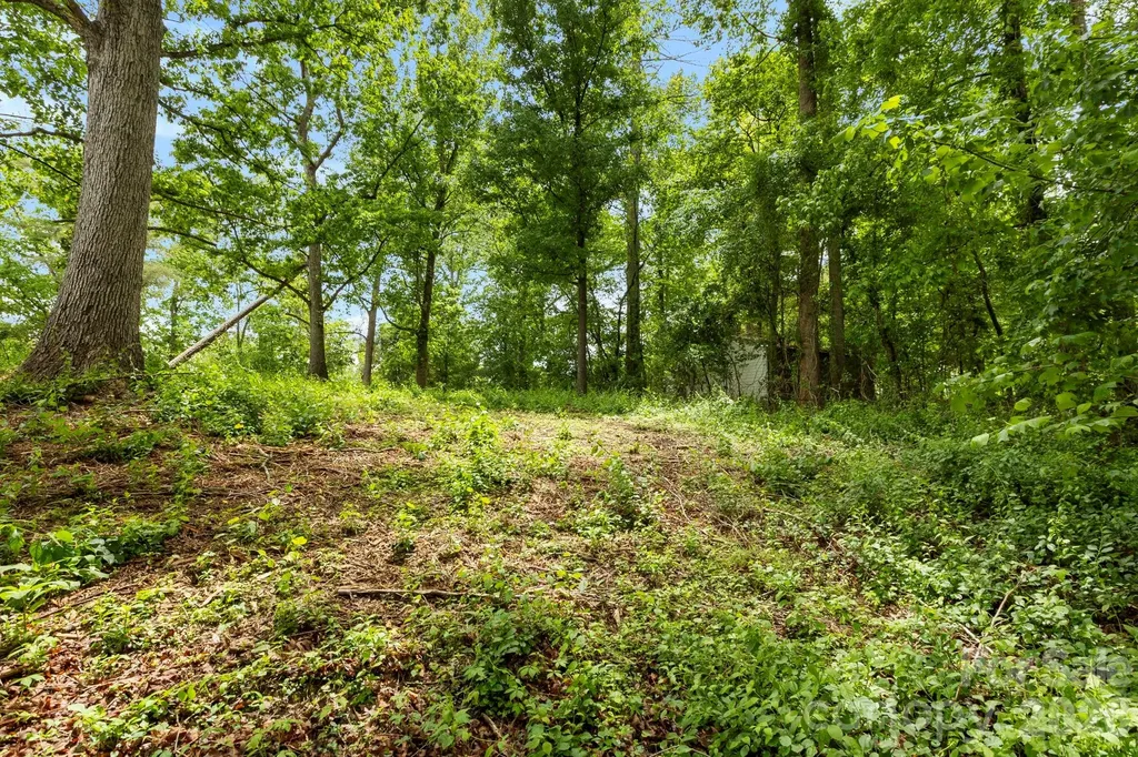 99999 Wild Goose Way Asheville NC 28804