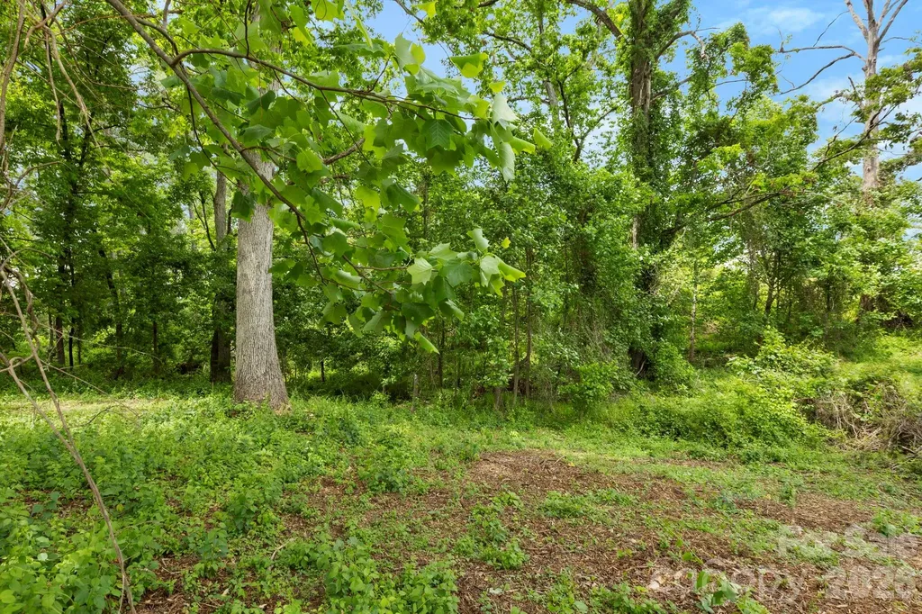 99999 Wild Goose Way Asheville NC 28804