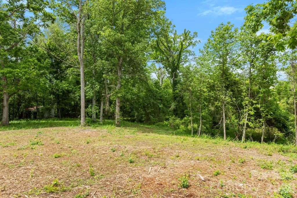 99999 Wild Goose Way Asheville NC 28804