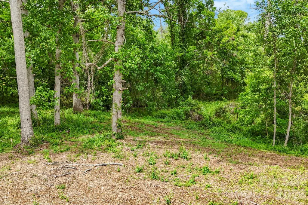 99999 Wild Goose Way Asheville NC 28804