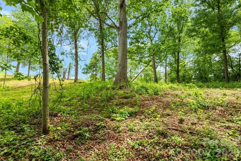 99999 Wild Goose Way Asheville NC 28804