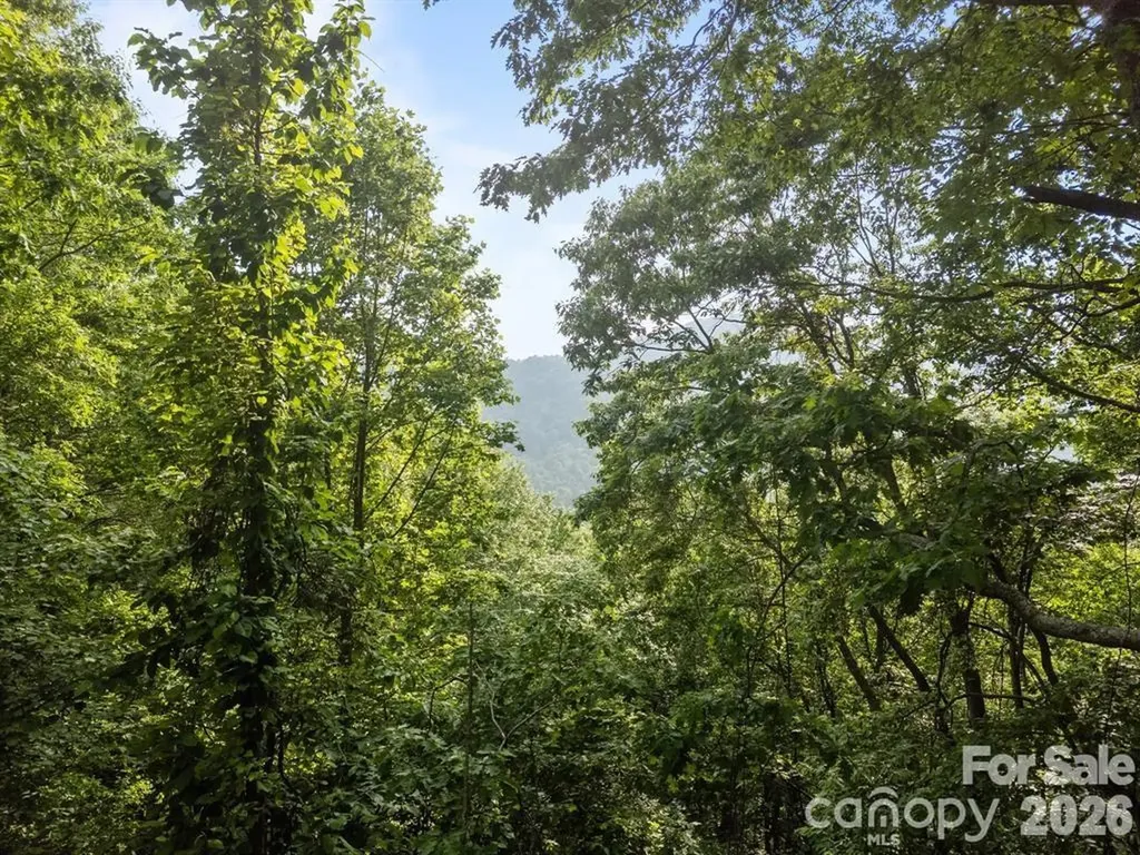 00 Granny Shepherd Road Mars Hill NC 28754