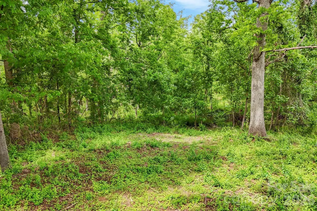 99999 Wild Goose Way Asheville NC 28804