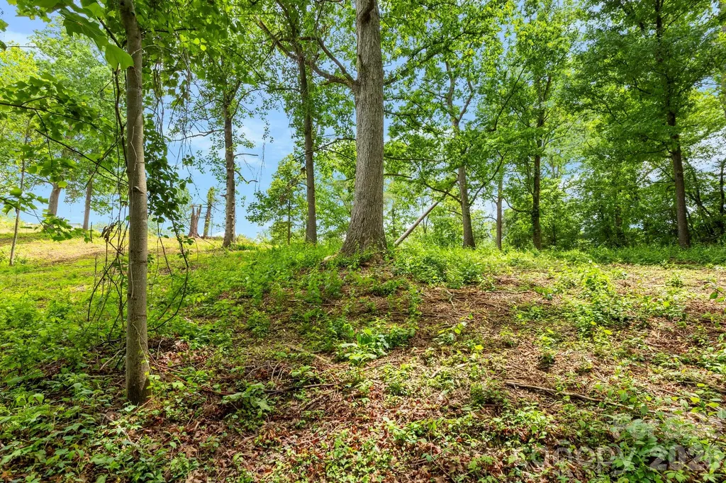 99999 Wild Goose Way Asheville NC 28804