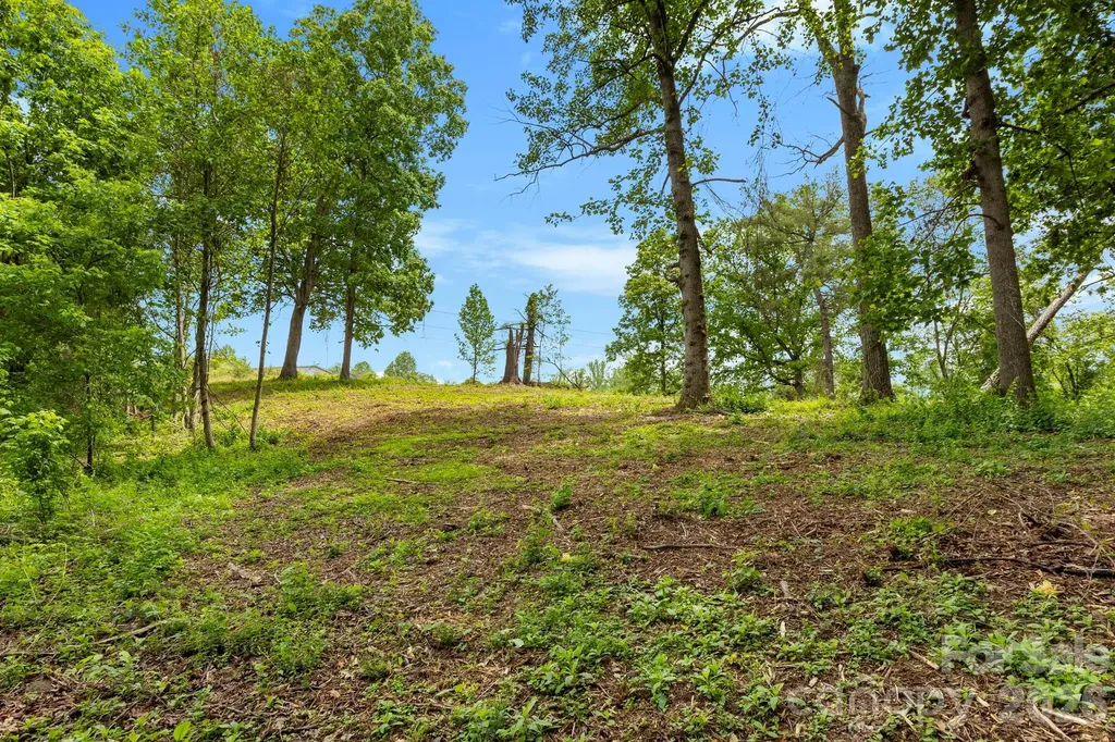 99999 Wild Goose Way Asheville NC 28804