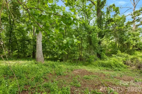 99999 Wild Goose Way Asheville NC 28804