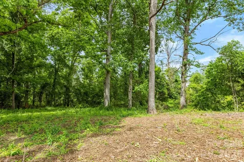 99999 Wild Goose Way Asheville NC 28804