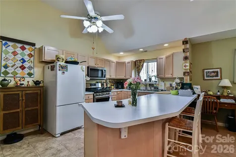 13 Silver Place Black Mountain NC 28711