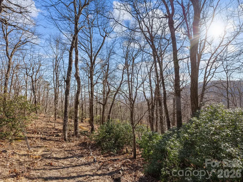 00 Morning Ride Drive Columbus NC 28722