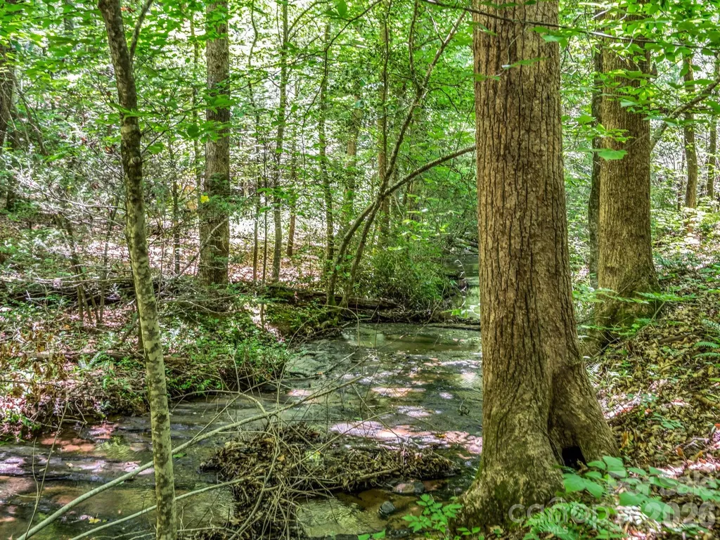 670 Cedar Creek Road Lake Lure NC 28746