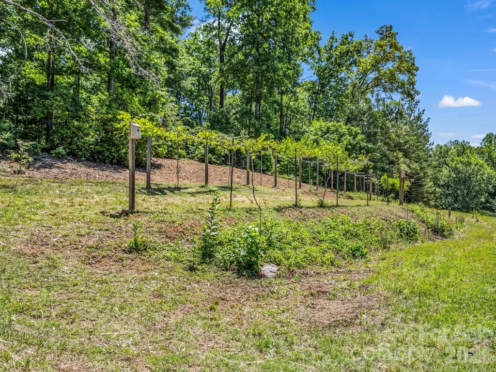 670 Cedar Creek Road Lake Lure NC 28746