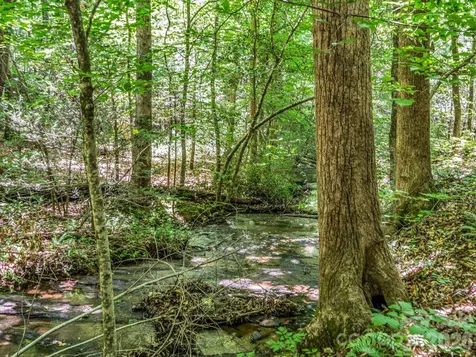670 Cedar Creek Road Lake Lure NC 28746