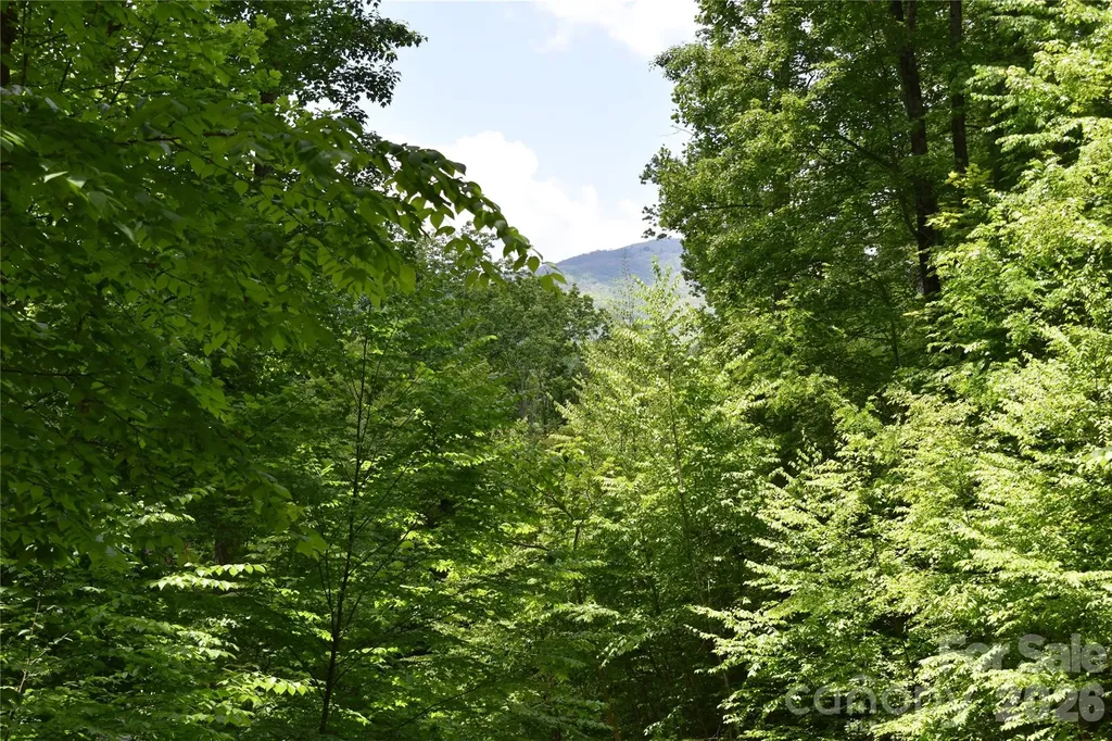 Lot 18 Covered Bridge Trail Waynesville NC 28785
