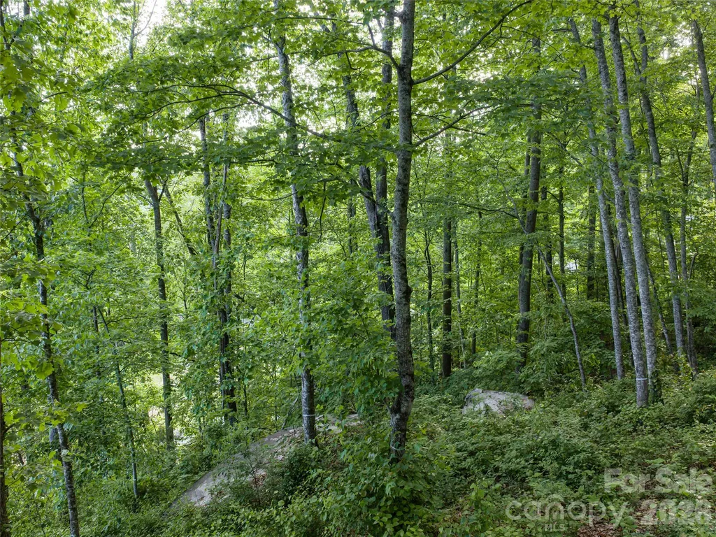 000 New Sprout Lane Hendersonville NC 28792