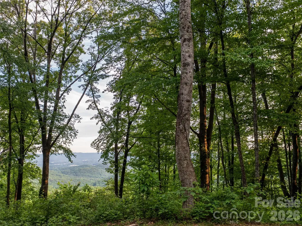 000 New Sprout Lane Hendersonville NC 28792
