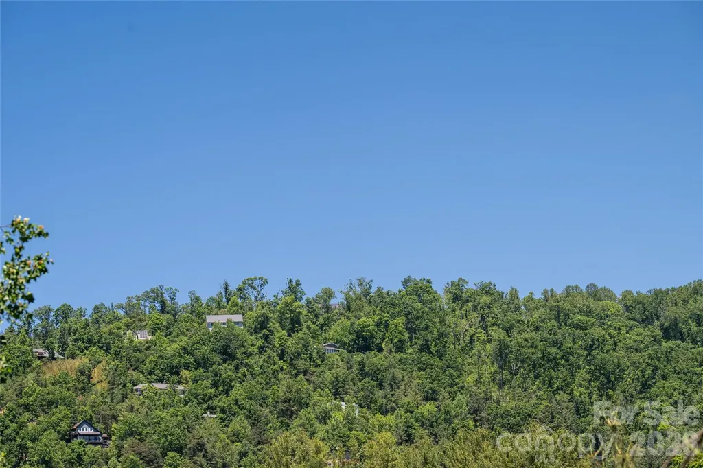 1 Beaverdam Knoll Road Asheville NC 28804