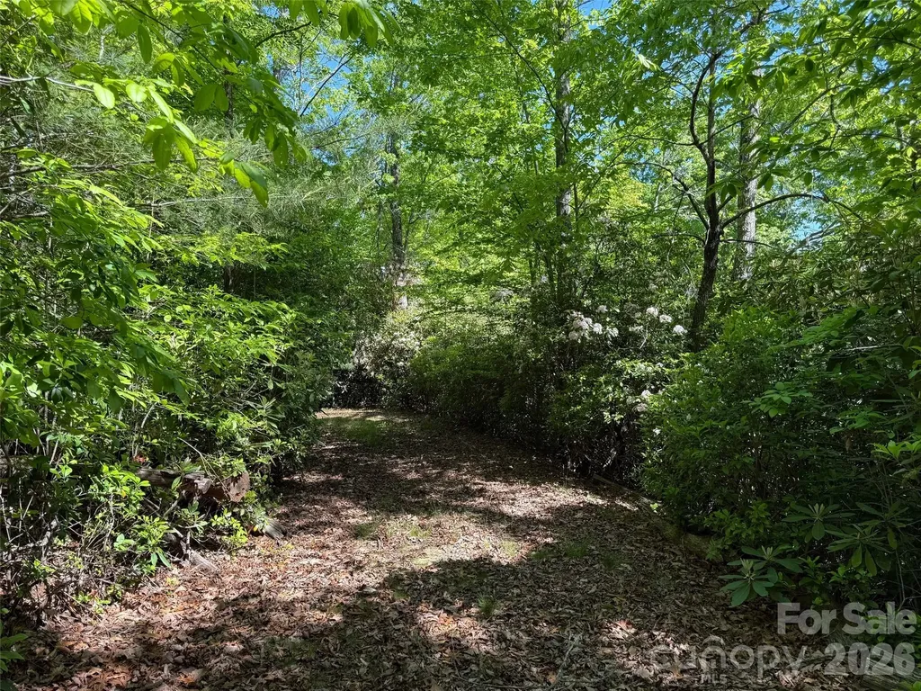 10C Reserve Road Pisgah Forest NC 28768