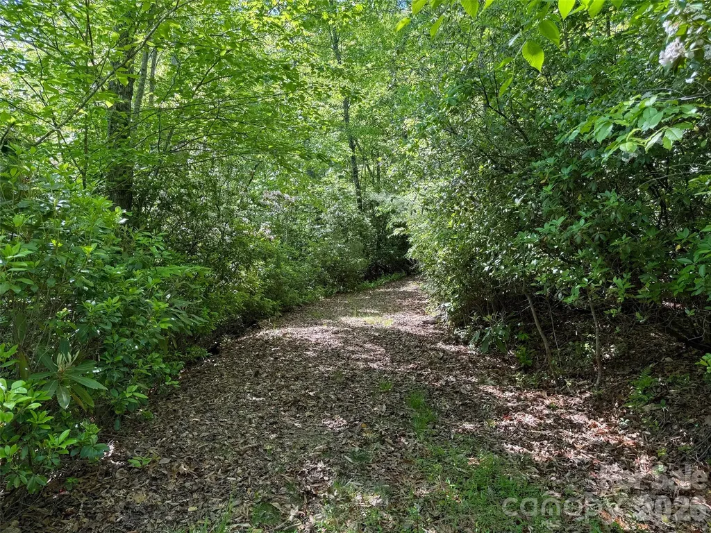10C Reserve Road Pisgah Forest NC 28768