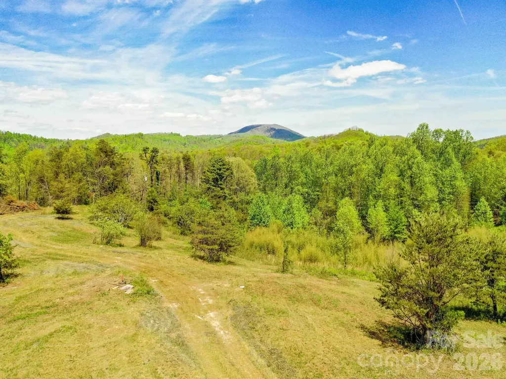 3646 Summer Road Hendersonville NC 28792