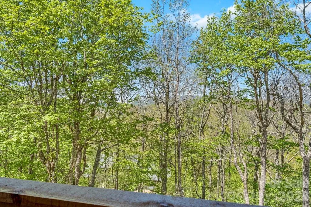 536 Boone Ridge Lane Boone NC 28607