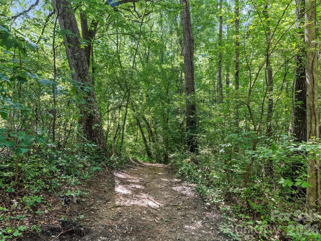 115 Bittersweet Trail Canton NC 28716