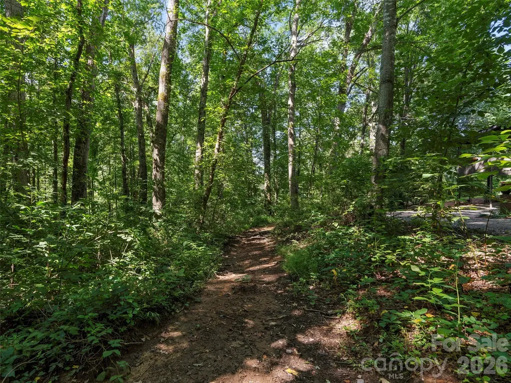115 Bittersweet Trail Canton NC 28716