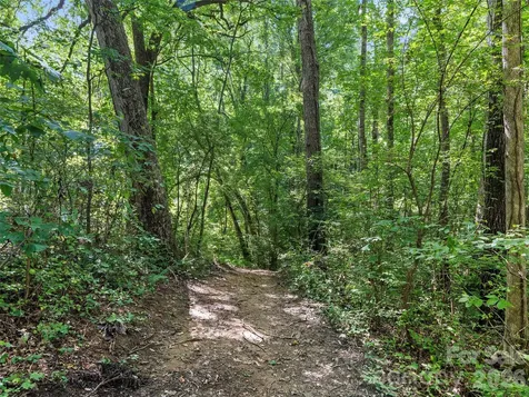 115 Bittersweet Trail Canton NC 28716