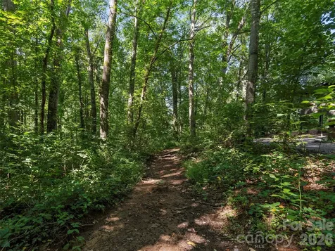 115 Bittersweet Trail Canton NC 28716