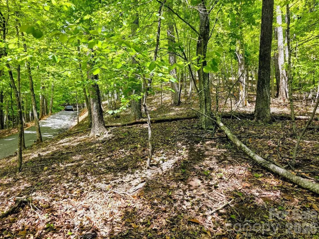 00 Hickory Springs Road Burnsville NC 28714