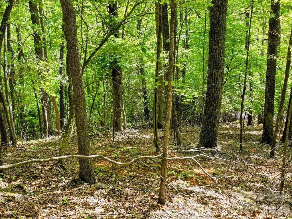 00 Hickory Springs Road Burnsville NC 28714