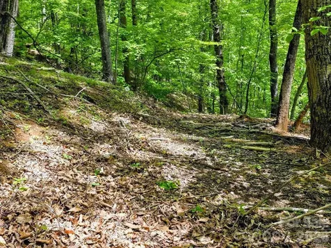 00 Hickory Springs Road Burnsville NC 28714
