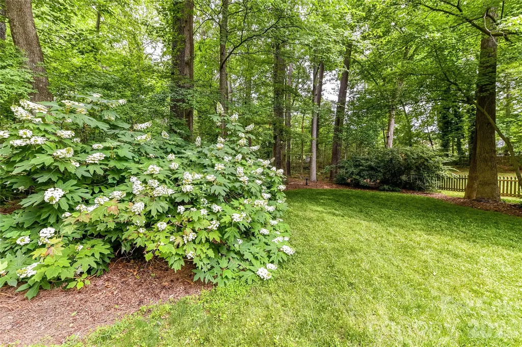 231 Pat Stough Lane Davidson NC 28036