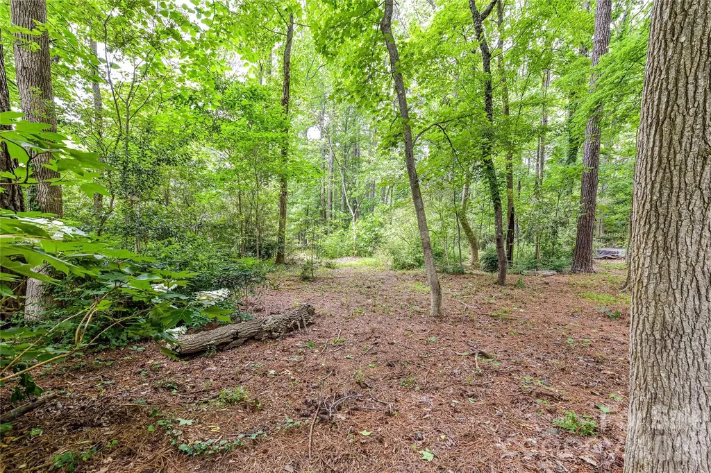 231 Pat Stough Lane Davidson NC 28036