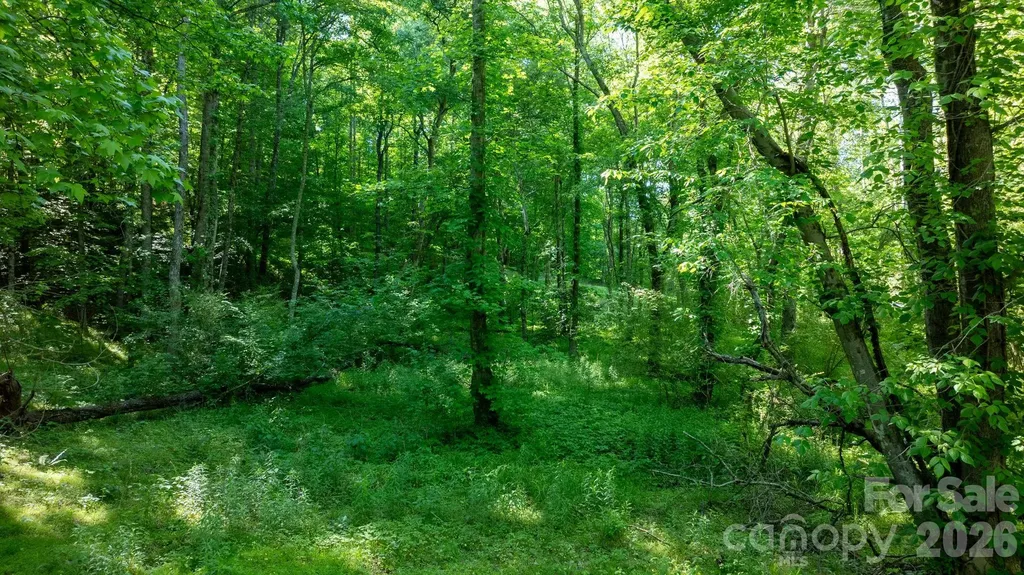 3355 Helton Hartley Place Lenoir NC 28645