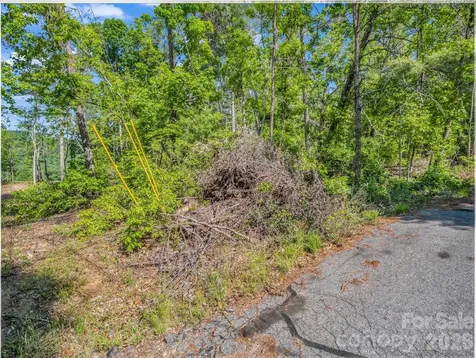 9999 Sedgewood Court Fairview NC 28730